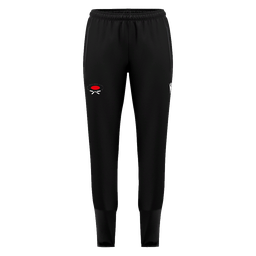 ARAS SELF DEFENCE (ЦПКДК)